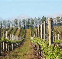 Philip Shaw Wines - Lennox Head Accommodation