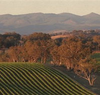 Angullong Wines - Lennox Head Accommodation