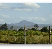 Ironbark Ridge Vineyard - Lennox Head Accommodation