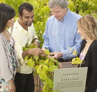 Jacob's Creek Vineyard Tour - Lennox Head Accommodation