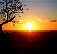 Rocky Ridge Vineyard and Cellar Door - Lennox Head Accommodation
