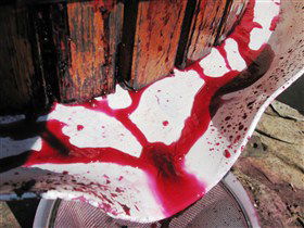 Cradle Of Hills McLaren Vale Winery - Lennox Head Accommodation 0