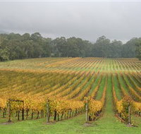 Boat O'Craigo Wines - Lennox Head Accommodation