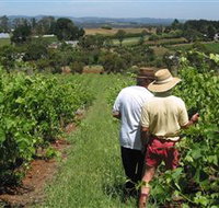 Sir Paz Estate - Lennox Head Accommodation