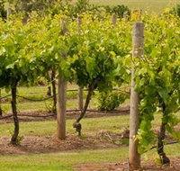 Mt Coghill Vineyard - Lennox Head Accommodation