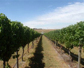 Cannibal Creek Vineyard - Lennox Head Accommodation 1