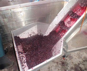 Cannibal Creek Vineyard - Lennox Head Accommodation 6