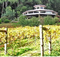 Peveril Vineyard/Beechy Berries - Lennox Head Accommodation