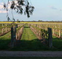 Water Wheel Vineyards - Lennox Head Accommodation