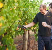 Fratin Brothers Vineyard - Lennox Head Accommodation