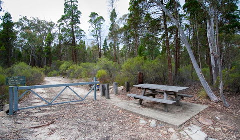 Munghorn Gap Nature Reserve - Lennox Head Accommodation 2