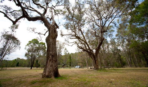 Munghorn Gap Nature Reserve - Lennox Head Accommodation 3