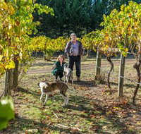 Little River Wines of Taggerty - Lennox Head Accommodation