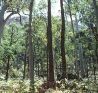 Cathedral Range State Park - Lennox Head Accommodation