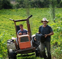 Kellybrook Winery Kelly Brothers Cider  Riders Brew Co. - Lennox Head Accommodation