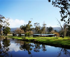 Buxton Trout & Salmon Farm - Lennox Head Accommodation 0