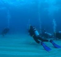 Man and Wife Rocks Dive Site - Lennox Head Accommodation