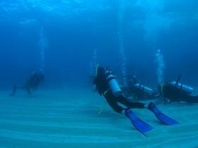 Man And Wife Rocks Dive Site - Lennox Head Accommodation 0