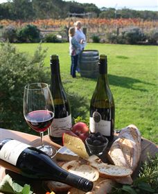 Kiltynane Wines - Lennox Head Accommodation 1