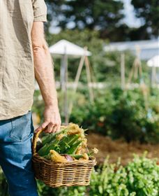 Kiltynane Wines - Lennox Head Accommodation 6