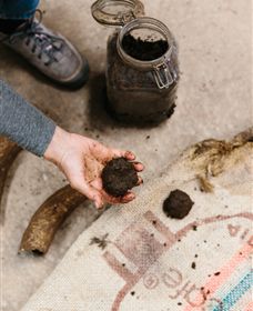 Kiltynane Wines - Lennox Head Accommodation 7