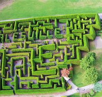 Hedgend Maze and Healesville Laser Sport - Lennox Head Accommodation