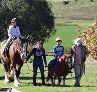 Bathurst Farm Experience - Lennox Head Accommodation