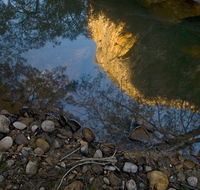 Abercrombie Karst Conservation Reserve - Lennox Head Accommodation