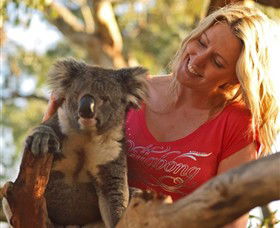 Moonlit Sanctuary Wildlife Conservation Park - Lennox Head Accommodation 5