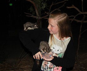 Moonlit Sanctuary Wildlife Conservation Park - Lennox Head Accommodation 6
