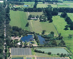 Ten Minutes By Tractor - Lennox Head Accommodation 2