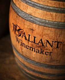 T'Gallant Winemakers - Lennox Head Accommodation 0