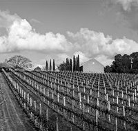 Willow Creek Vineyard - Lennox Head Accommodation