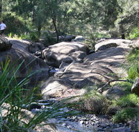 Towarri National Park - Lennox Head Accommodation