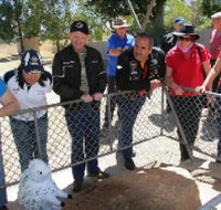 Fossil Rock - Lennox Head Accommodation