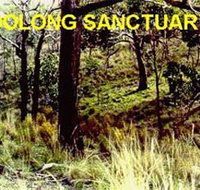 Oolong Sanctuary - Lennox Head Accommodation