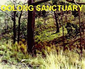 Oolong Sanctuary - Lennox Head Accommodation 0