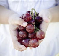 Granitevale  Estate Winery - Lennox Head Accommodation