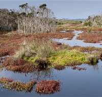 French Island National Park - Lennox Head Accommodation