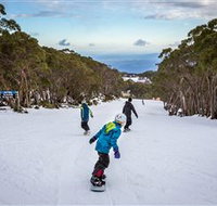 Mt Baw Baw Alpine Resort - Lennox Head Accommodation