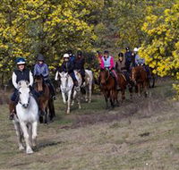 Burnelee Excursions on Horseback - Lennox Head Accommodation