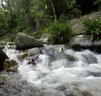 Washpool National Park - Lennox Head Accommodation