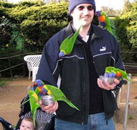 Canberra Walk In Aviary - Lennox Head Accommodation