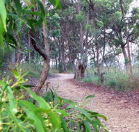 Mount Mutton Walking Trail - Lennox Head Accommodation