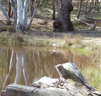 Mulligans Flat - Lennox Head Accommodation