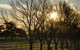 Inland Waters Holiday Parks Lake Glenbawn - thumb 4