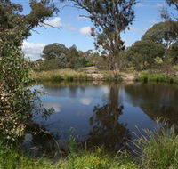 Cooleman Ridge - Lennox Head Accommodation