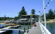 Sydney's Northern Beaches Tours - thumb 3