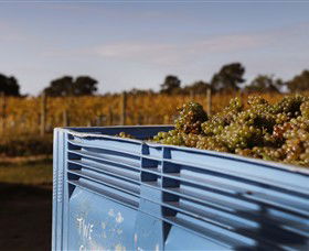 Quealy Winemakers - Lennox Head Accommodation 3