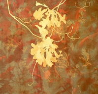 Fellia Melas Gallery - Lennox Head Accommodation